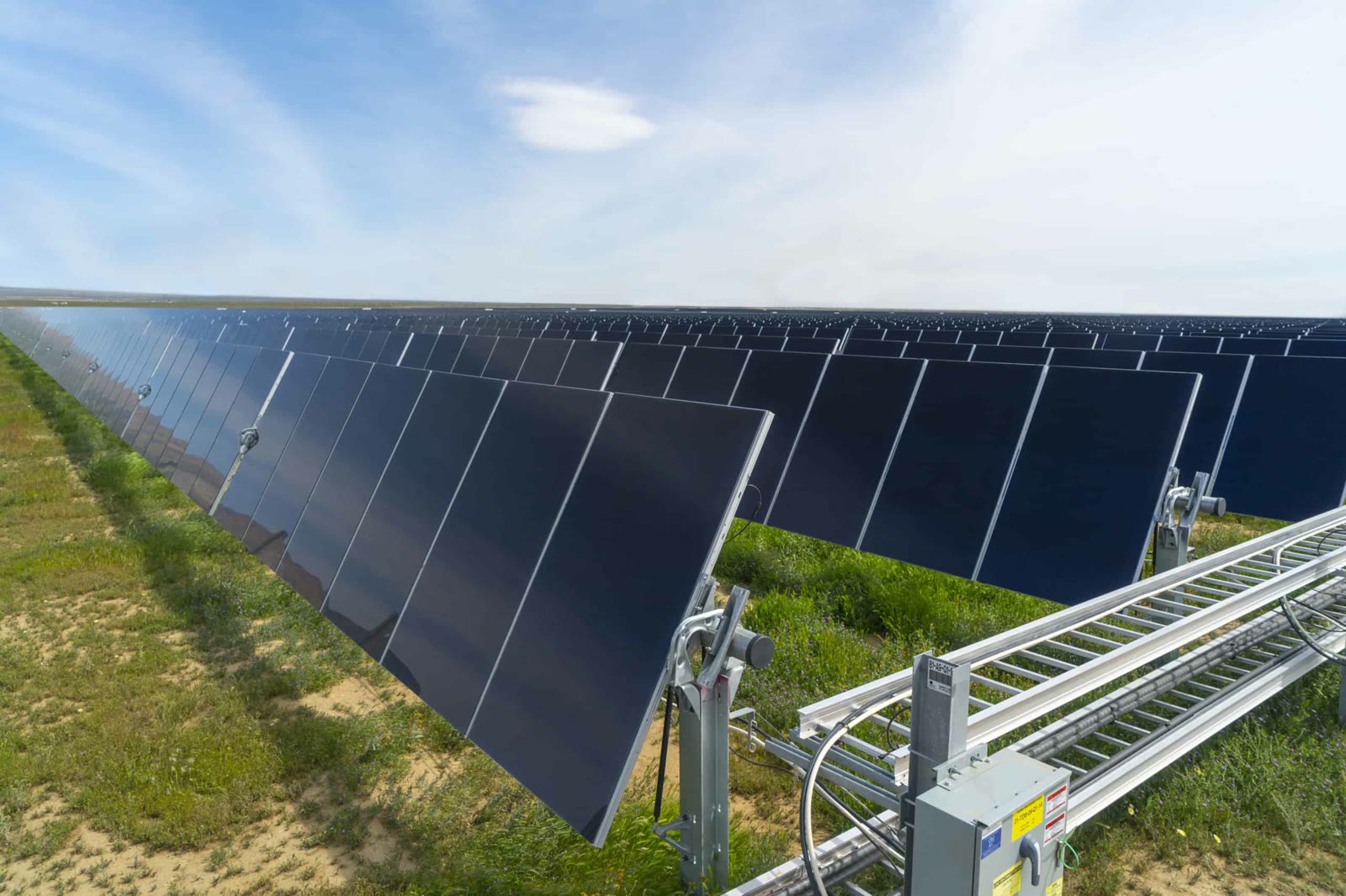 Rows of solar trackers stretching across a utility-scale solar farm