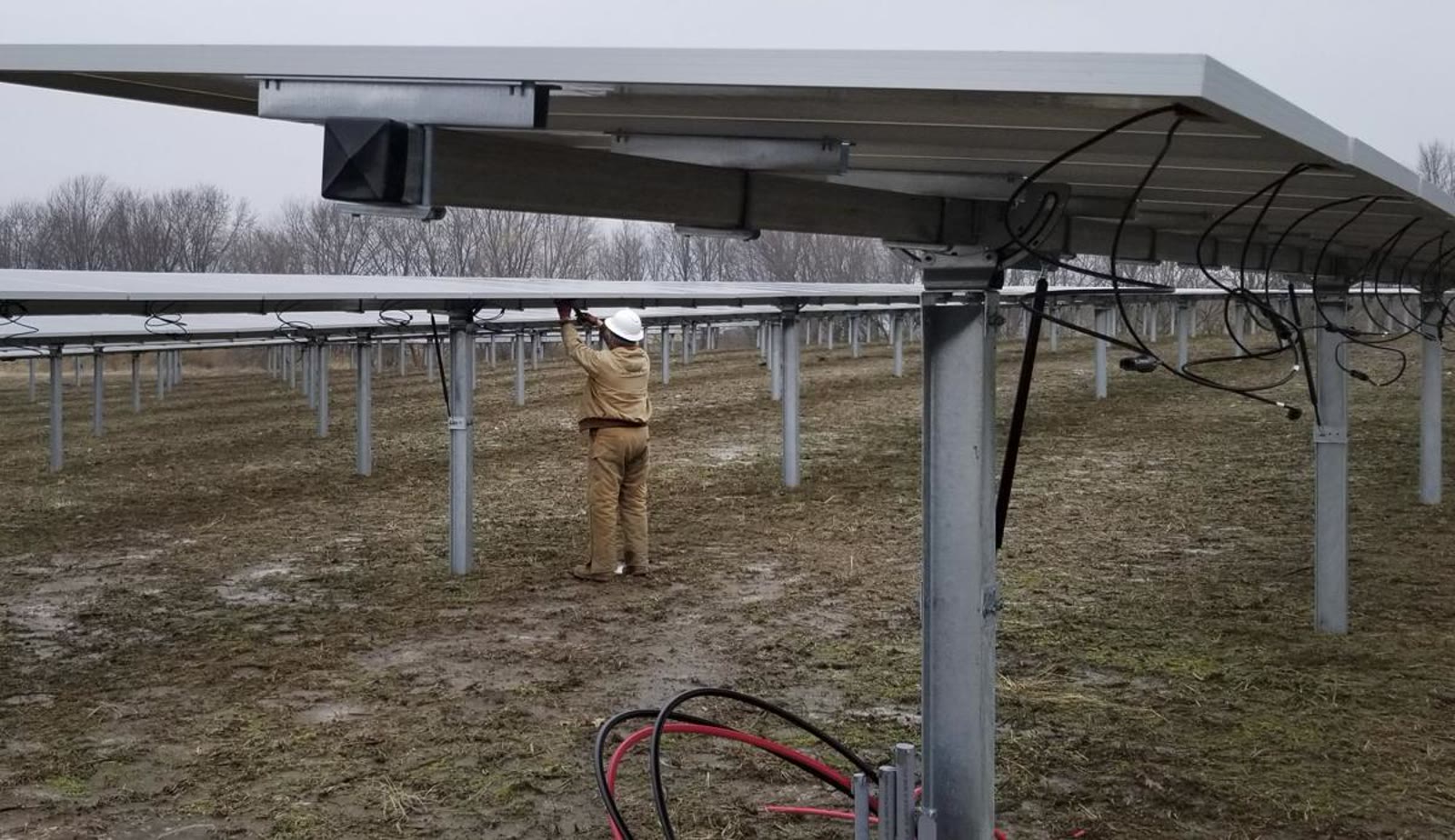 Technician installing wiring beneath a solar tracker array